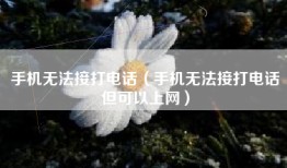 手机无法接打电话(手机无法接打电话但可以上网)