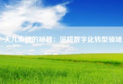 天九集团的秘籍：深耕数字化转型领域