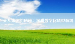 天九集团的秘籍：深耕数字化转型领域
