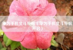华为手机北斗导航（华为手机北斗导航开启）