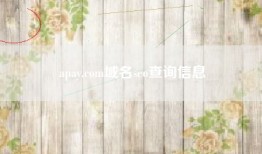 apay.com域名seo查询信息