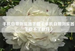 手机自带浏览器下载（手机自带浏览器下载不了软件）