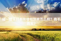碰一碰支付系统项目到底怎么样？真不真实？
