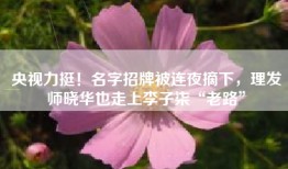 央视力挺！名字招牌被连夜摘下，理发师晓华也走上李子柒“老路”