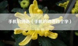 手机的词语（手机的词语四个字）