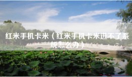 红米手机卡米（红米手机卡米进不了系统怎么办）