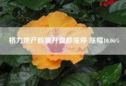 格力地产股票开盘即涨停 涨幅10.06%