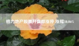 格力地产股票开盘即涨停 涨幅10.06%