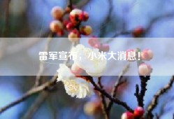 雷军宣布，小米大消息！