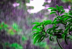 为啥一到“清明节”就下雨？ ｜ 涨知识