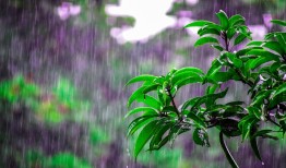 为啥一到“清明节”就下雨？ ｜ 涨知识