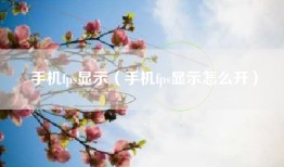 手机fps显示（手机fps显示怎么开）
