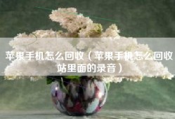苹果手机怎么回收（苹果手机怎么回收站里面的录音）