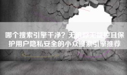 哪个搜索引擎干净？无追踪无监控且保护用户隐私安全的小众搜索引擎推荐