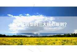 数字化转型的三大核心原则？