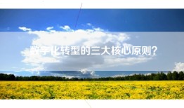 数字化转型的三大核心原则？