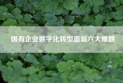 国有企业数字化转型面临六大难题