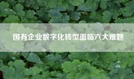 国有企业数字化转型面临六大难题