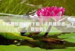 手机播放器官方下载（手机播放器app下载安装）