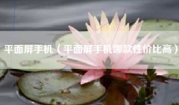 平面屏手机（平面屏手机哪款性价比高）