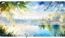 碰一碰支付代理费多少？