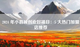 2024 年小县城创业好项目：5 大热门加盟店推荐