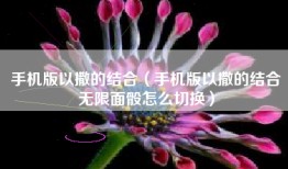 手机版以撒的结合（手机版以撒的结合无限面骰怎么切换）