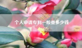 个人申请专利一般要多少钱