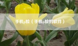 手机p脸（手机p脸的软件）