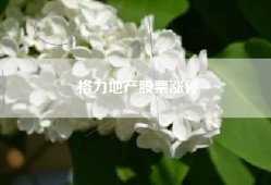 格力地产股票涨停