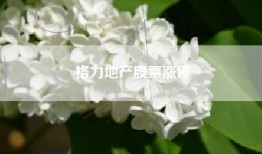 格力地产股票涨停