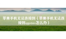 苹果手机无法连接到（苹果手机无法连接到appstore怎么办）