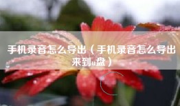 手机录音怎么导出（手机录音怎么导出来到u盘）