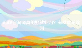 心理咨询师真的好就业吗？有发展前途吗