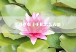 手机查看（手机怎么设置）
