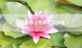 手机查看（手机怎么设置）