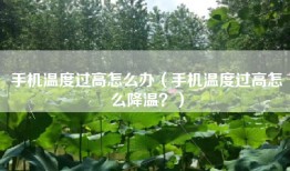 手机温度过高怎么办（手机温度过高怎么降温？）