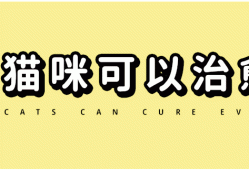 30张极品猫咪meme图，看完又哭又笑哈哈哈哈哈哈