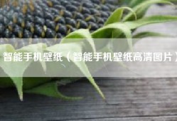 智能手机壁纸（智能手机壁纸高清图片）
