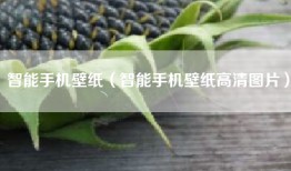 智能手机壁纸（智能手机壁纸高清图片）