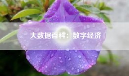 大数据百科：数字经济