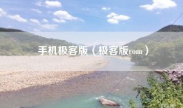 手机极客版（极客版rom）