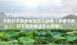手机打不进来电话怎么回事（苹果手机打不进来电话怎么回事）