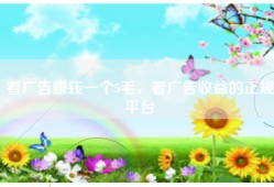 看广告赚钱一个5毛，看广告收益的正规平台