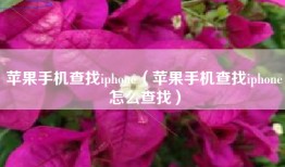 苹果手机查找iphone（苹果手机查找iphone怎么查找）