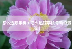 怎么追踪手机（怎么追踪手机号码位置呢）