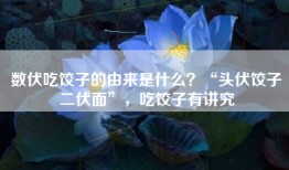 数伏吃饺子的由来是什么？“头伏饺子二伏面”，吃饺子有讲究