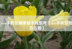 vivo手机在哪里看手机型号（vivo手机型号怎么看）