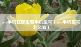 vivo手机在哪里看手机型号（vivo手机型号怎么看）