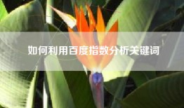 如何利用百度指数分析关键词